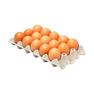 CARTON HUEVOS 1/2