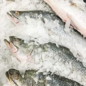 PARGO BLANCO